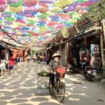 Hanoi: Private Tour to Van Phuc Silk & Duong Lam Ancient Village - What Makes This Tour Stand Out?