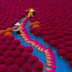 Hanoi: Quan Su Pagoda Or Incense Village & Hat Village Tour - A Deep Dive Into the Tour Experience