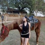 Hanoi: Rainbow Slide & Horse Riding  Small Group Half-day - What to Expect: A Well-Organized, Fun-Filled Half Day