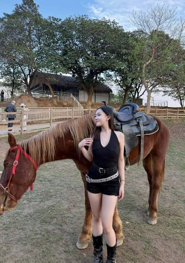 Hanoi: Rainbow Slide & Horse Riding  Small Group Half-day - What to Expect: A Well-Organized, Fun-Filled Half Day