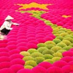 Hanoi: Small Group Tour to Incense Village & Ninh Binh, Boat Trip - Practical Details: What You Need to Know