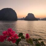 Hanoi to Ha Long Bay Best Cruise with Buffet Lunch and Limousine - Authentic Insights from Reviews