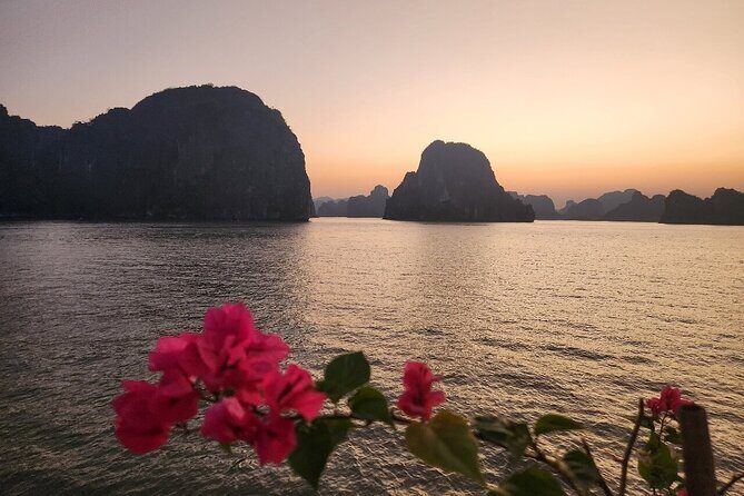 Hanoi to Ha Long Bay Best Cruise with Buffet Lunch and Limousine - Authentic Insights from Reviews