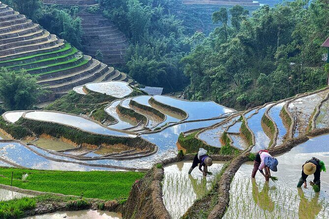 Hanoi to Sapa: 2-Day Trekking Adventure with Overnight Homestay - Practicalities: What to Know Before Booking