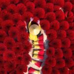 Hanoi Traditional Craft Villages: Incense, Hat & Lacquer Art - Who Is This Tour Best For?