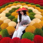 Hanoi Uoc Le Ancient Village or Incense Village, Hat Village - The Practicalities: What to Expect on the Tour