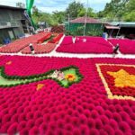 Hanoi Viet Phu Thanh Chuong or Incense Village & Hat Village - Who Should Consider This Tour?