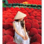 Hanoi: Whistle Kite Village or Hat Village & Incense Village - Practical Details and Value