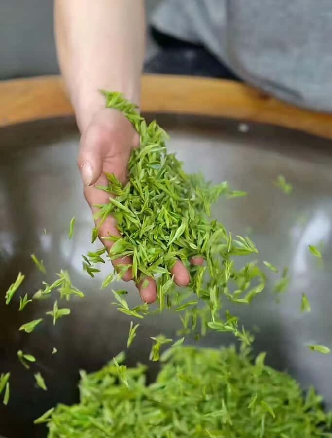 Hanzghou H-quality daytour: Xixi Wetland & Longjing Village - Discovering Hangzhou’s Natural Beauty at Xixi Wetland