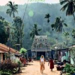 Haputale Day Tour by Tuk Tuk - Nature & Culture - Practical Tips and Considerations