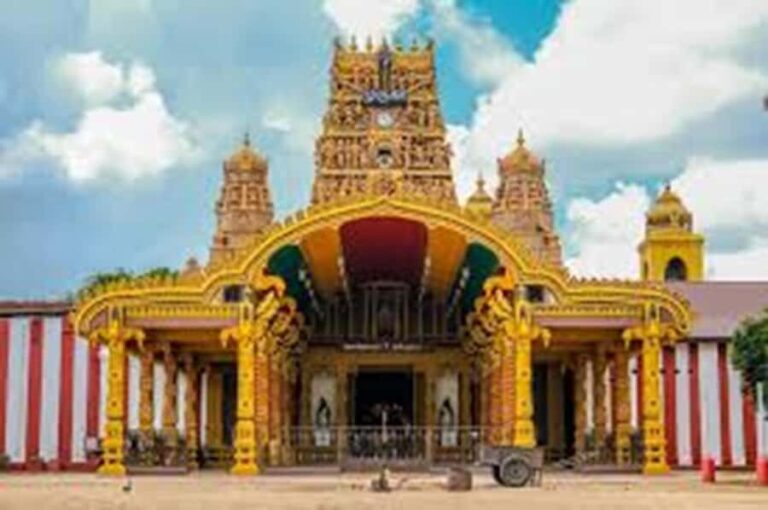 Haputale: Hindu and Buddhist Temple Tour with Pickup - Who Would Love This Tour?