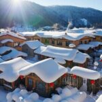 Harbin Airport(HRB) Private Arrival Transfer: Meet&Greet Service - Authentic Insights from Reviewers