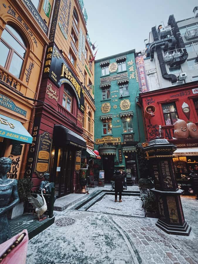 Harbin: Local Markets, Central Street, & Flexible Itinerary - Practical Details: What to Expect