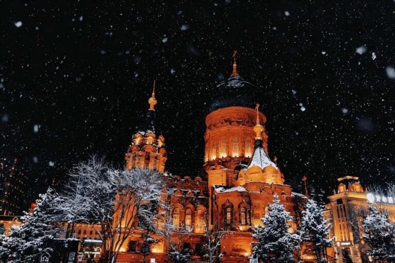 Harbin: One-Day Ice and Snow Disney Tour in China - Practical Considerations and Tips