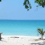 Havelock Island Day Trip from Port Blair - Final Thoughts