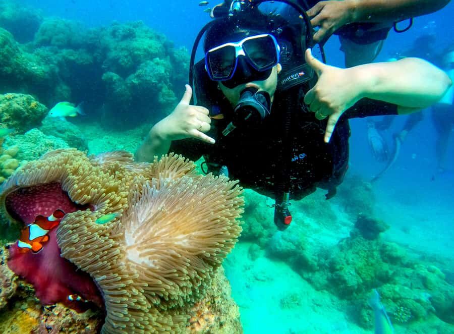 Havelock Island: Tribe Gate Boat Dive with Instructor - The Practicalities of the Tour