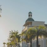 Havelock North: Urban Wine Tour with Tastings - A Deep Dive into the Experience