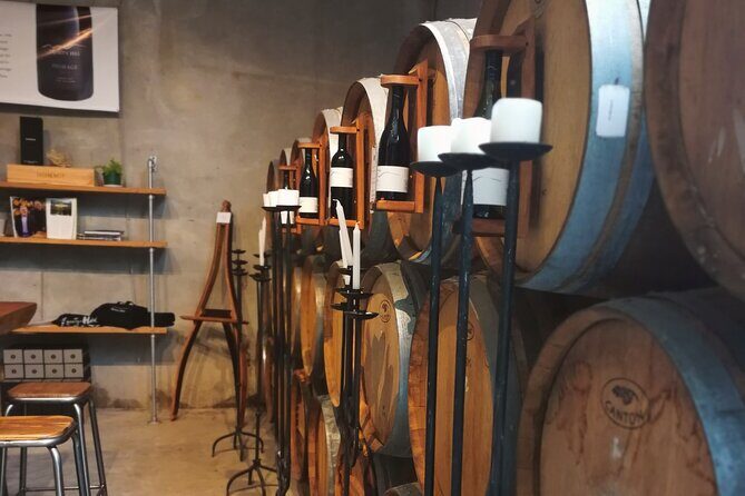 Hawkes Bay Wine Tour: Explore NZ's Great Wine Capital - Why This Tour Works Well