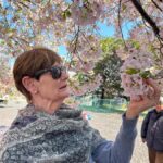 Heritage Tokyo: Sakura, Sake Brewery, Pairing Lunch - The Heart of the Experience: Cherry Blossoms and Heritage