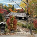 Hida Folk Village Guided Tour with Bus Transfer in Takayama - What Reviewers Say About the Experience