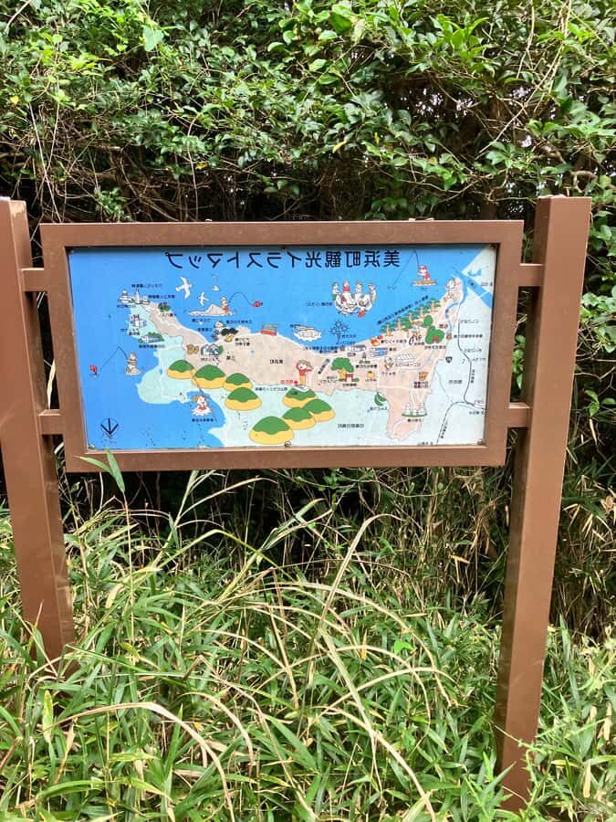 Hidaka, Wakayama: Butterfly Conservation, Hike, Hot Spring - An Authentic Day in Hidaka: Nature, Conservation, and Relaxation