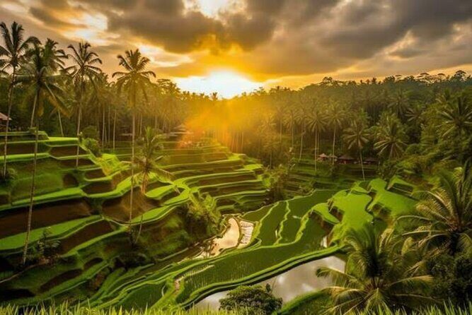 Hidden Bali Waterfalls And Scenic Rice Terrace With Lunch - Coffee and Cultural Stops