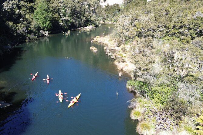Hidden Lake Kayak Tour in Taups Secret Gem - Why This Tour Stands Out