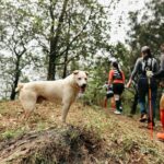 Hidden Trails & Forest Views | U Lesa Sóc Sn Experience - Who Should Consider This Tour?