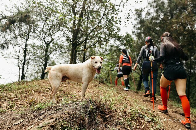 Hidden Trails & Forest Views | U Lesa Sóc Sn Experience - Who Should Consider This Tour?