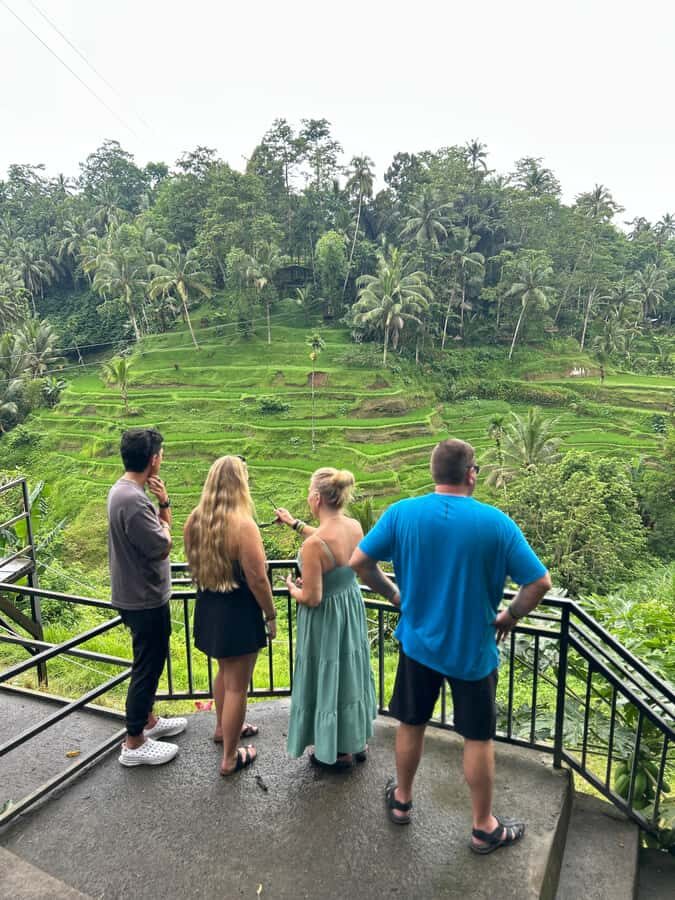 Hidden Ubud All-inclusive: Temple, Waterfalls & Jungle Swing - Practical Details and Value