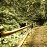 Hidden Valley Springs with Lunch from Manila - What We Loved About This Tour