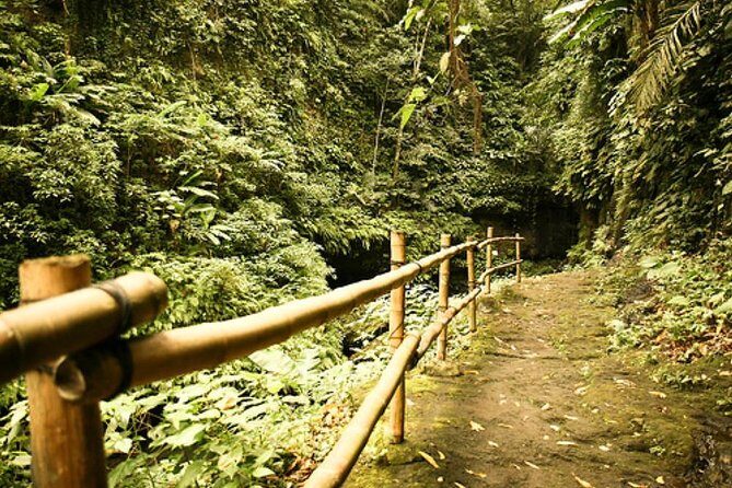 Hidden Valley Springs with Lunch from Manila - What We Loved About This Tour