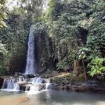 Hidden Waterfall and Sukawati Temple with a local Guide Tour - Frequently Asked Questions