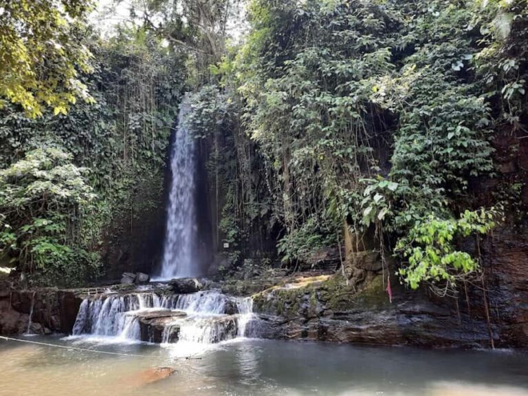 Hidden Waterfall and Sukawati Temple with a local Guide Tour - Frequently Asked Questions