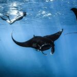 Highlights of Komodo - Who Is This Tour Best For?