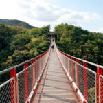 Highlights of South Korea Shared Guided Tour - What Travelers Love (and What to Consider)