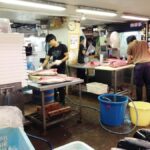 Highlights of Tokyo Private Tour with a professional Guide - Exploring Tokyo in a Single Day: A Practical Breakdown