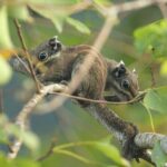 Hike the Heart of Cat Ba National Park Trekking, Biking, Kayaking - What Makes This Tour Stand Out?