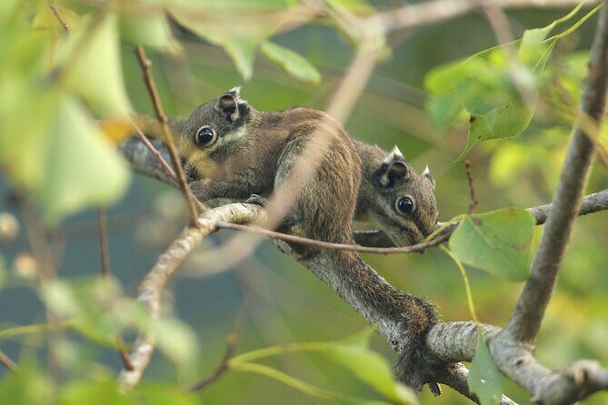 Hike the Heart of Cat Ba National Park Trekking, Biking, Kayaking - What Makes This Tour Stand Out?