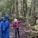 Hiking and Caving in Aokigahara Forest at the Foot of Mt. Fuji - An In-Depth Look at the Tour Experience