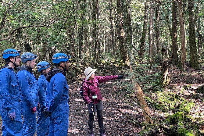 Hiking and Caving in Aokigahara Forest at the Foot of Mt. Fuji - An In-Depth Look at the Tour Experience