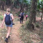 Hiking on Dong Van Karst Plateau Geopark - Practical Details and What to Expect