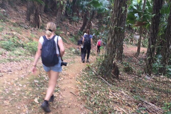 Hiking on Dong Van Karst Plateau Geopark - Practical Details and What to Expect