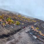 Hiking the Historic Houei-zan Crater: Mt. Fujis Volcanic Journey - Authentic Experiences Shared by Reviewers