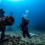 Hikkaduwa: Discover Scuba Diving Experience with Guide - The Practical Side: Logistics and Value