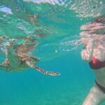 Hikkaduwa Unforgettable Snorkeling Experience - The Marine Encounter: What Youll See