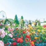 Hirakata Park Adventure Admission Ticket - Why This Experience Is a Great Choice