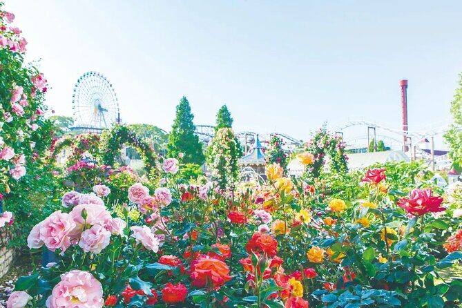 Hirakata Park Adventure Admission Ticket - Why This Experience Is a Great Choice