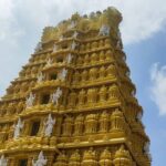 Hire a Guide for Full day Mysore sightseeing with own transport - The Itinerary in Detail