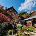 Hiroshima: Miyajima Private Tour with Ferry Ride - A Deep Dive into the Miyajima Private Tour